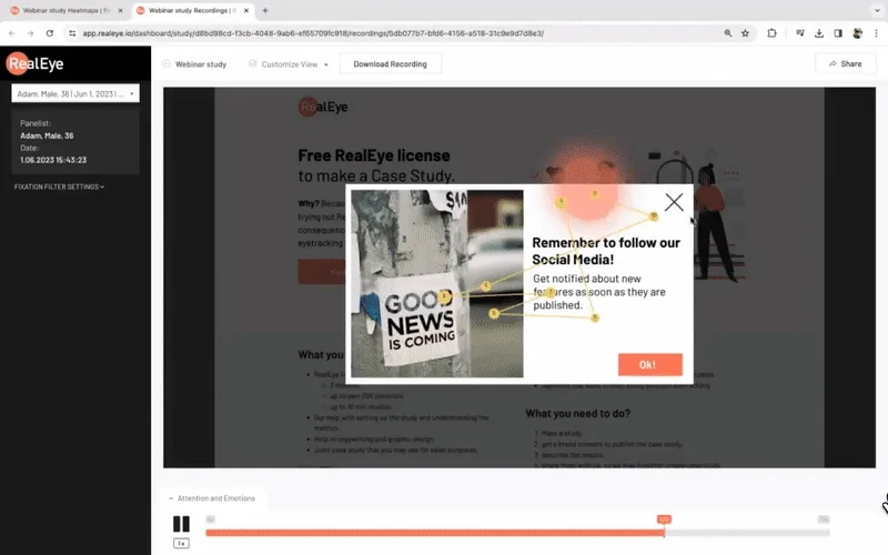 RealEye in UX Design